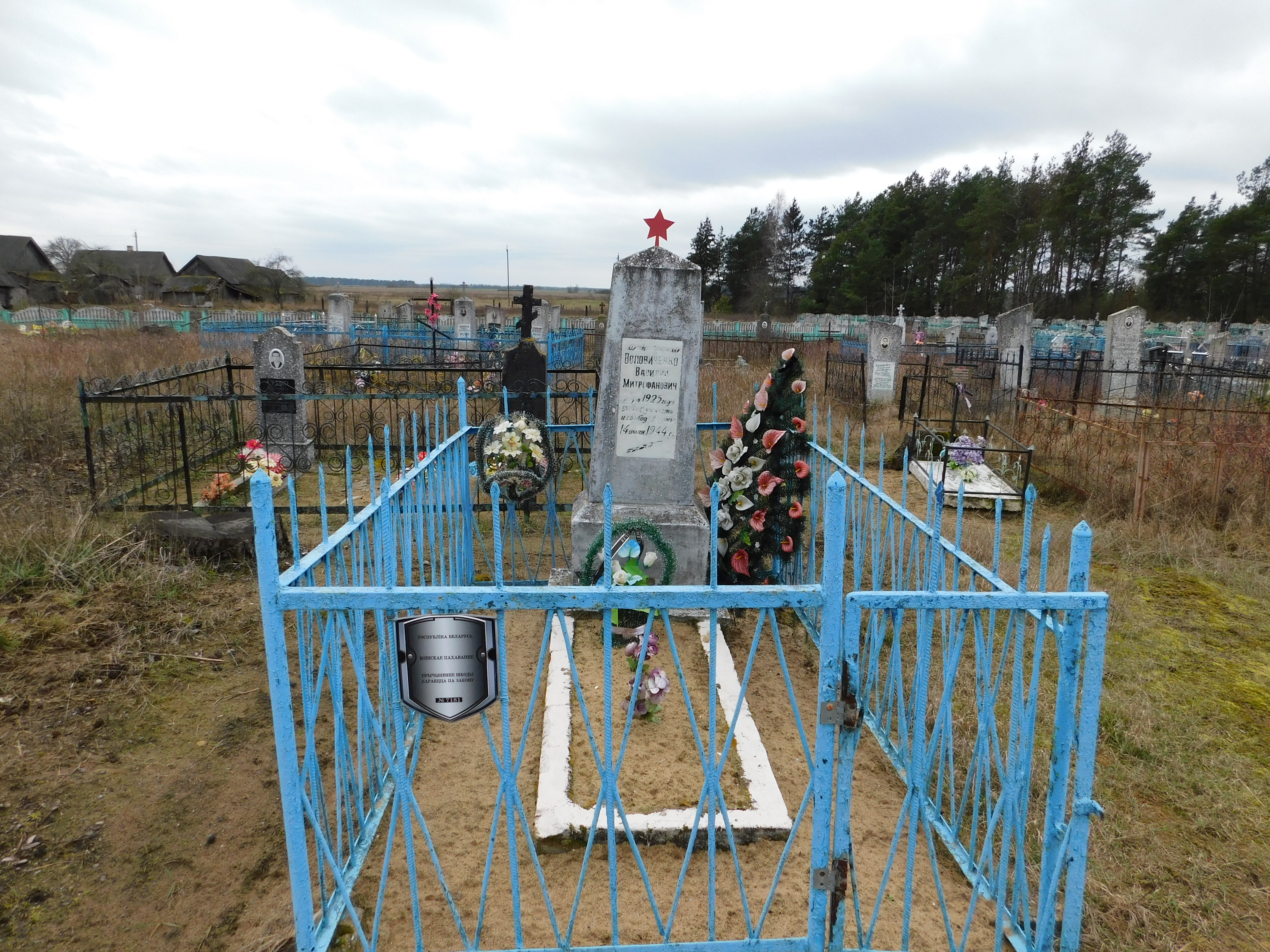 Индивидуальная могила, расположенная в д. Селец, Ивацевичский район, Брестская область