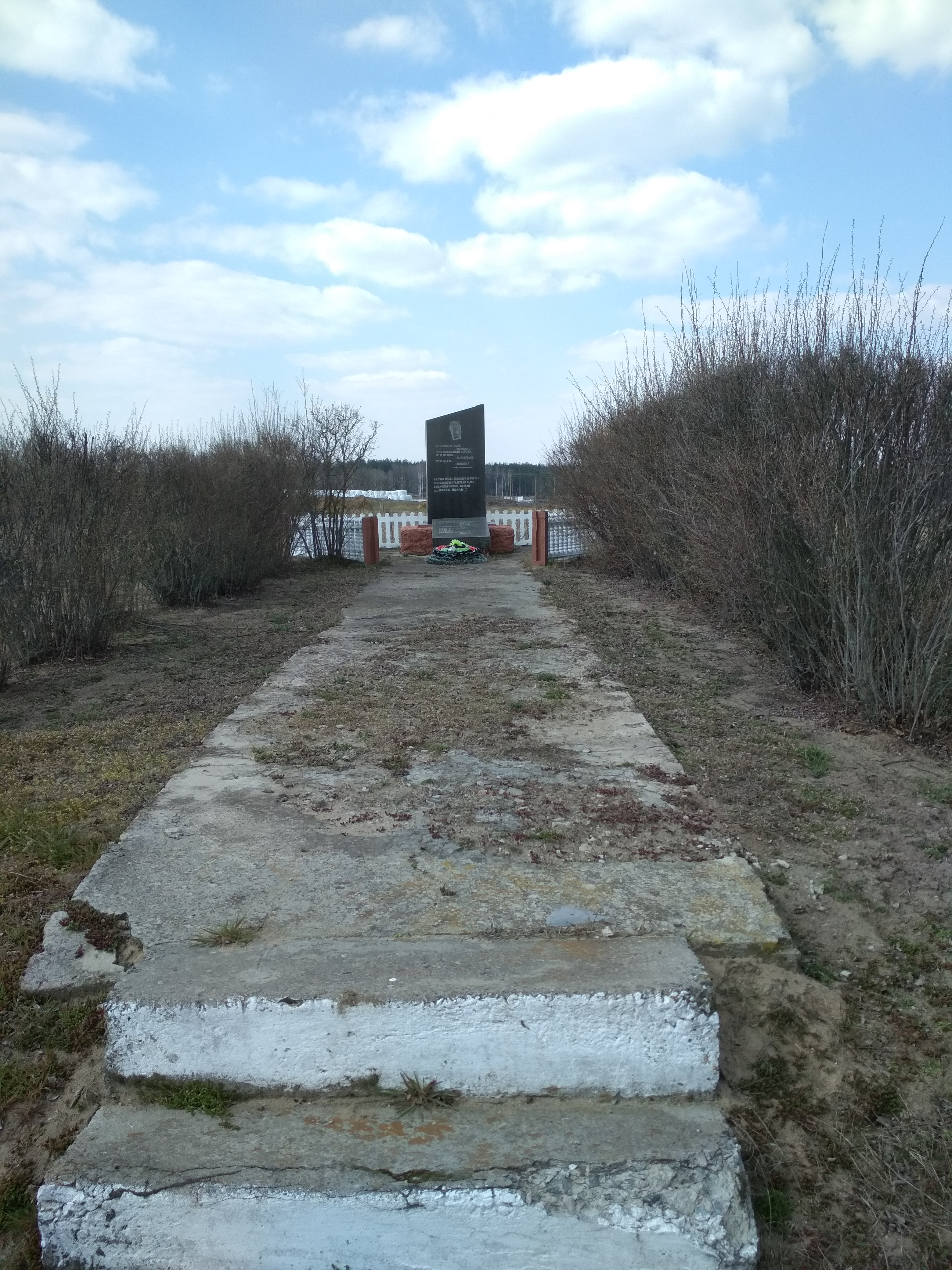 Воинское захоронение Могила жертв фашизма, расположенная в д. Новая Иолча, Брагинский район, Гомельская область