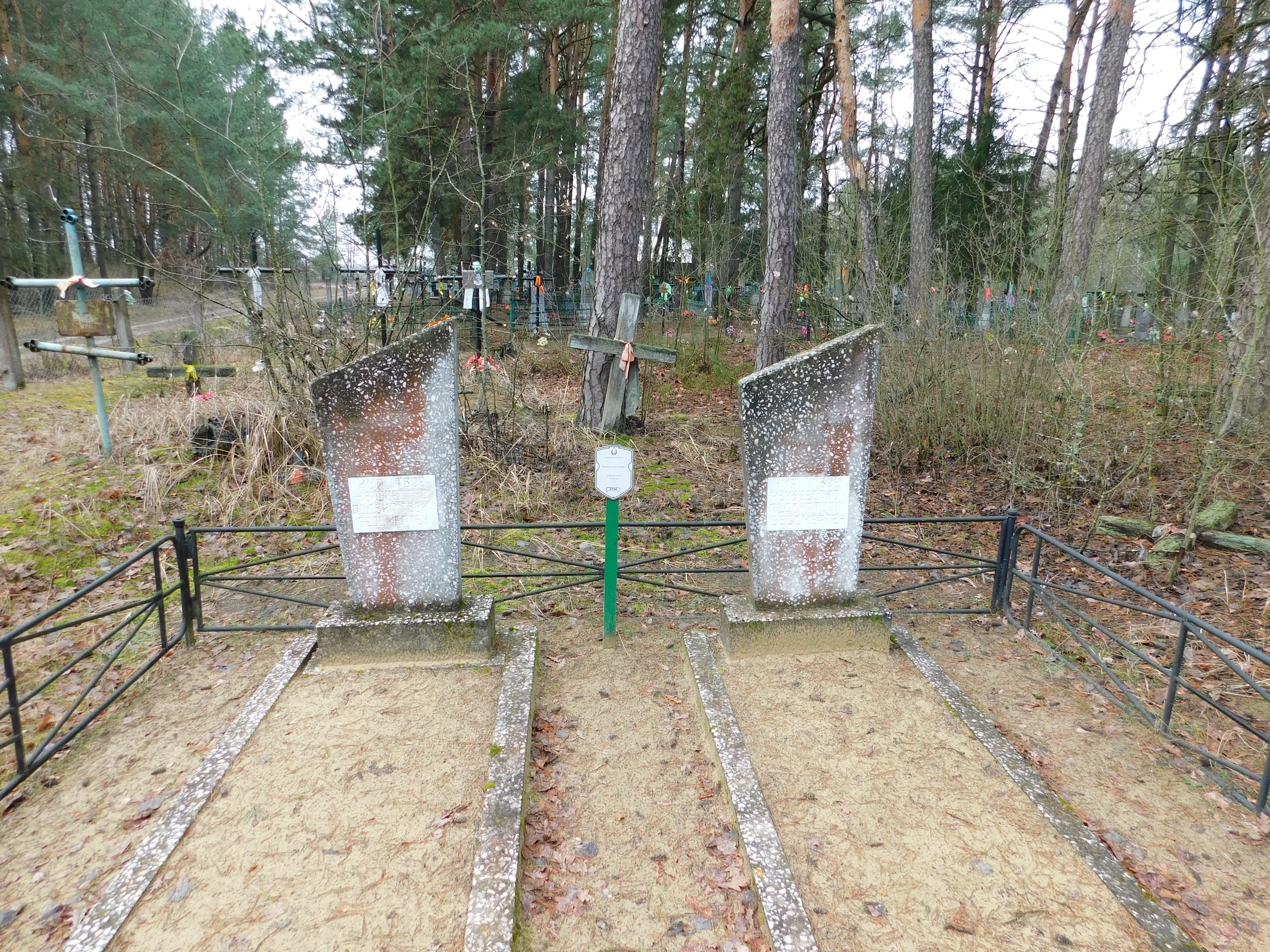 Братская могила, расположенная в д. Ровины, Дрогичинский район, Брестская область