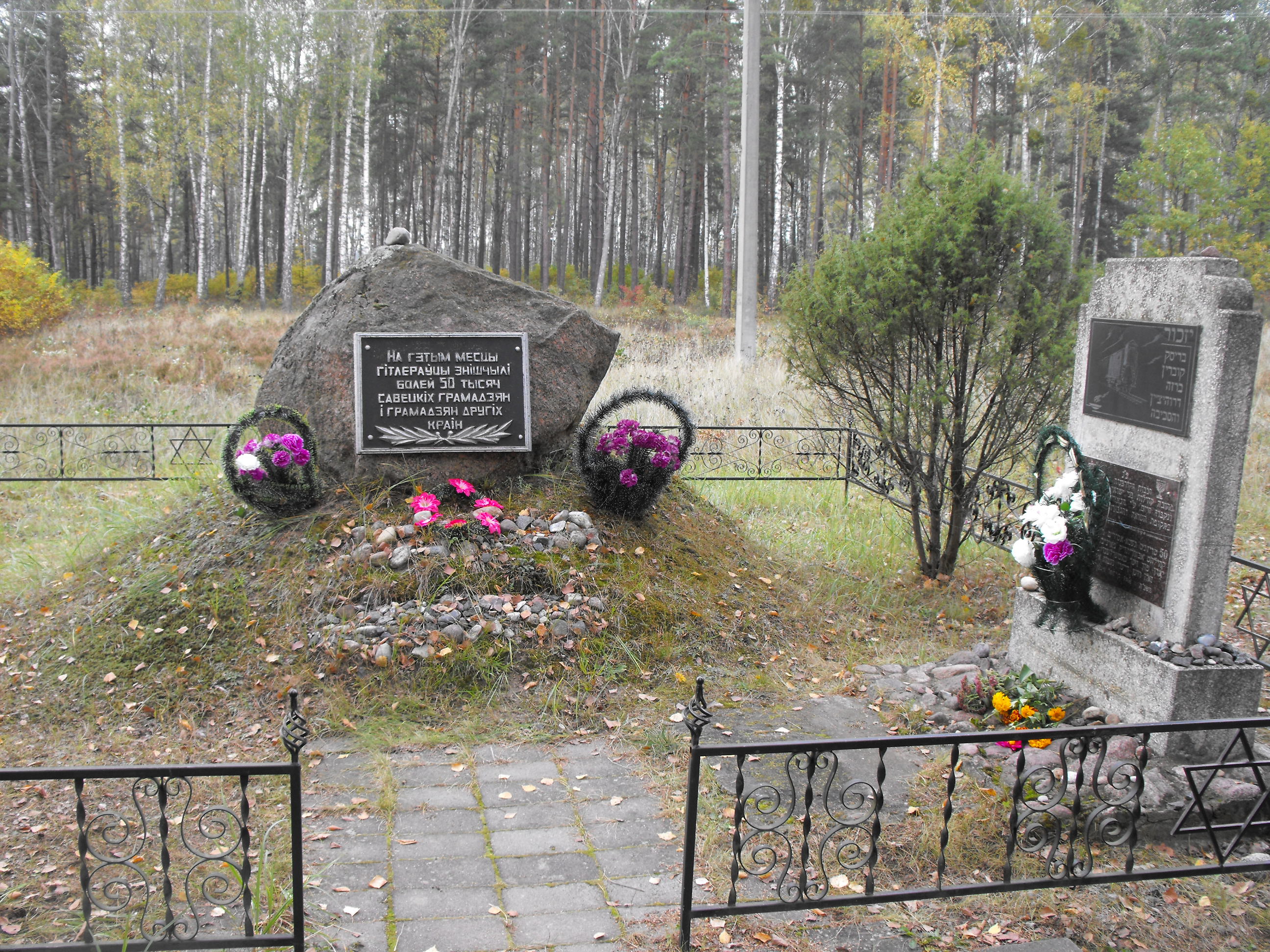 Памятник жертвам массовых расстрелов, расположенная в д. Бронная Гора, Берёзовский район, Брестская область