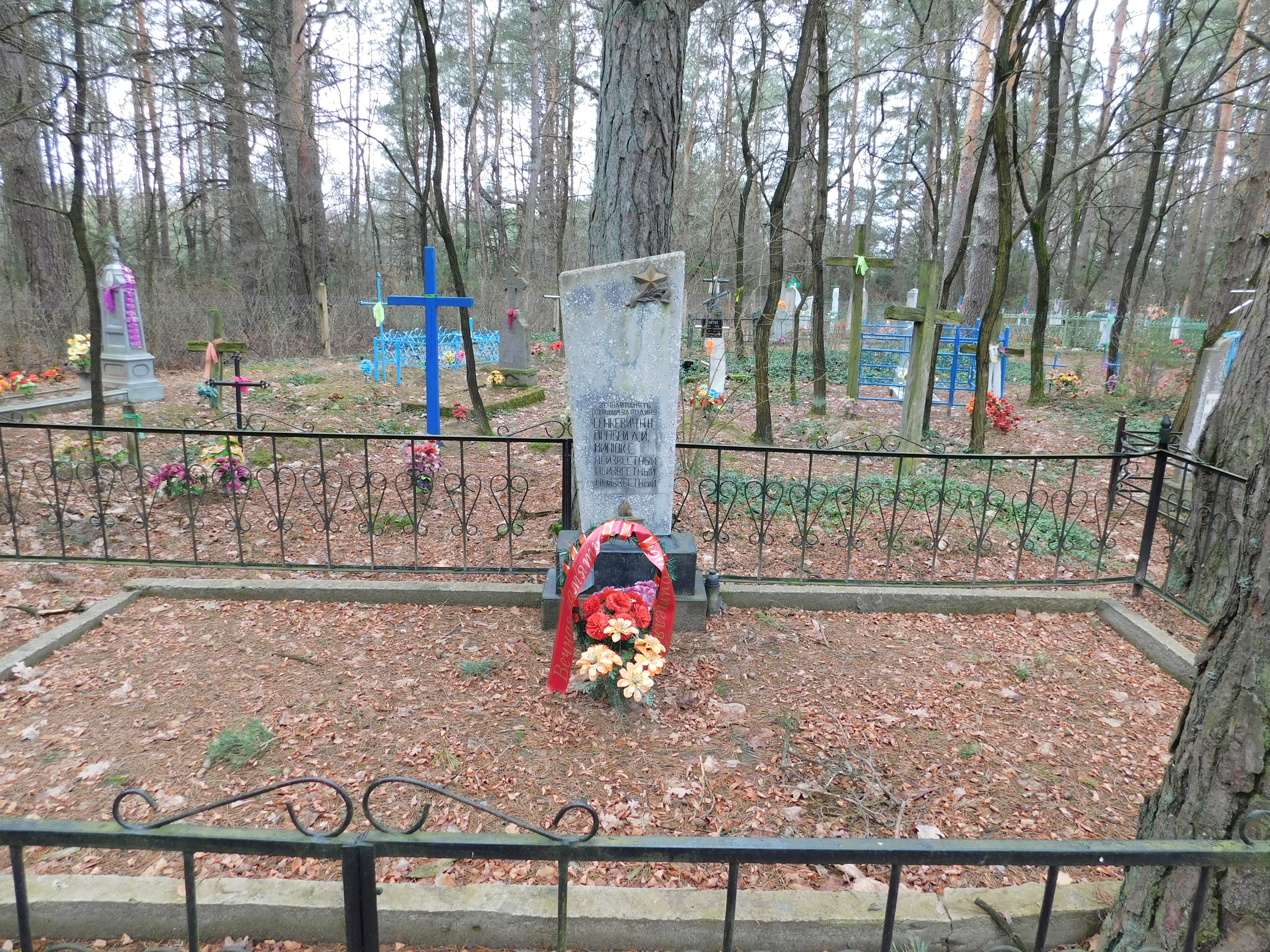 Братская могила, расположенная в д. Переспа, Дрогичинский район, Брестская область