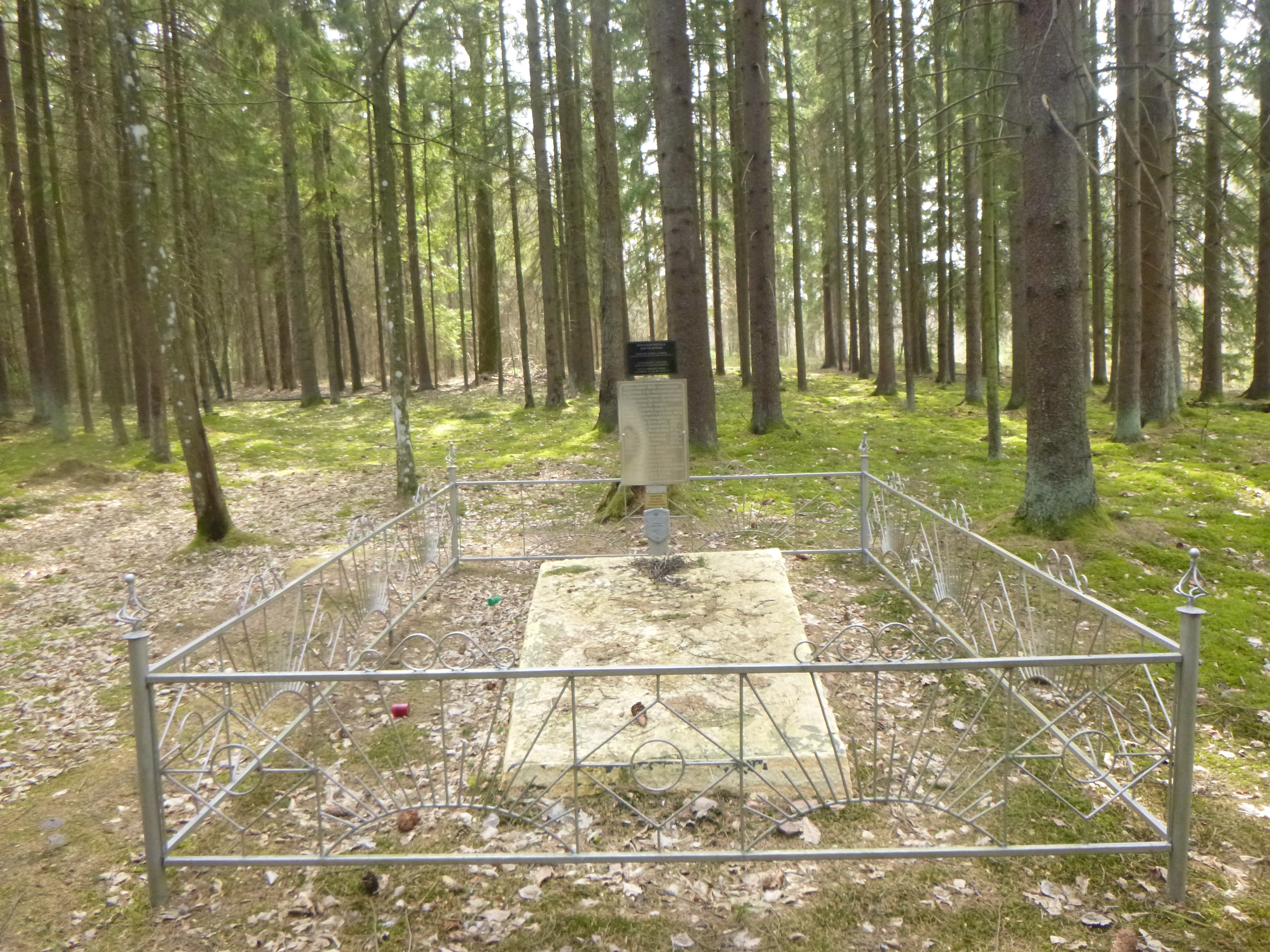 Братская могила Жертв войны, расположенная в д. Борки, Пинский район, Брестская область