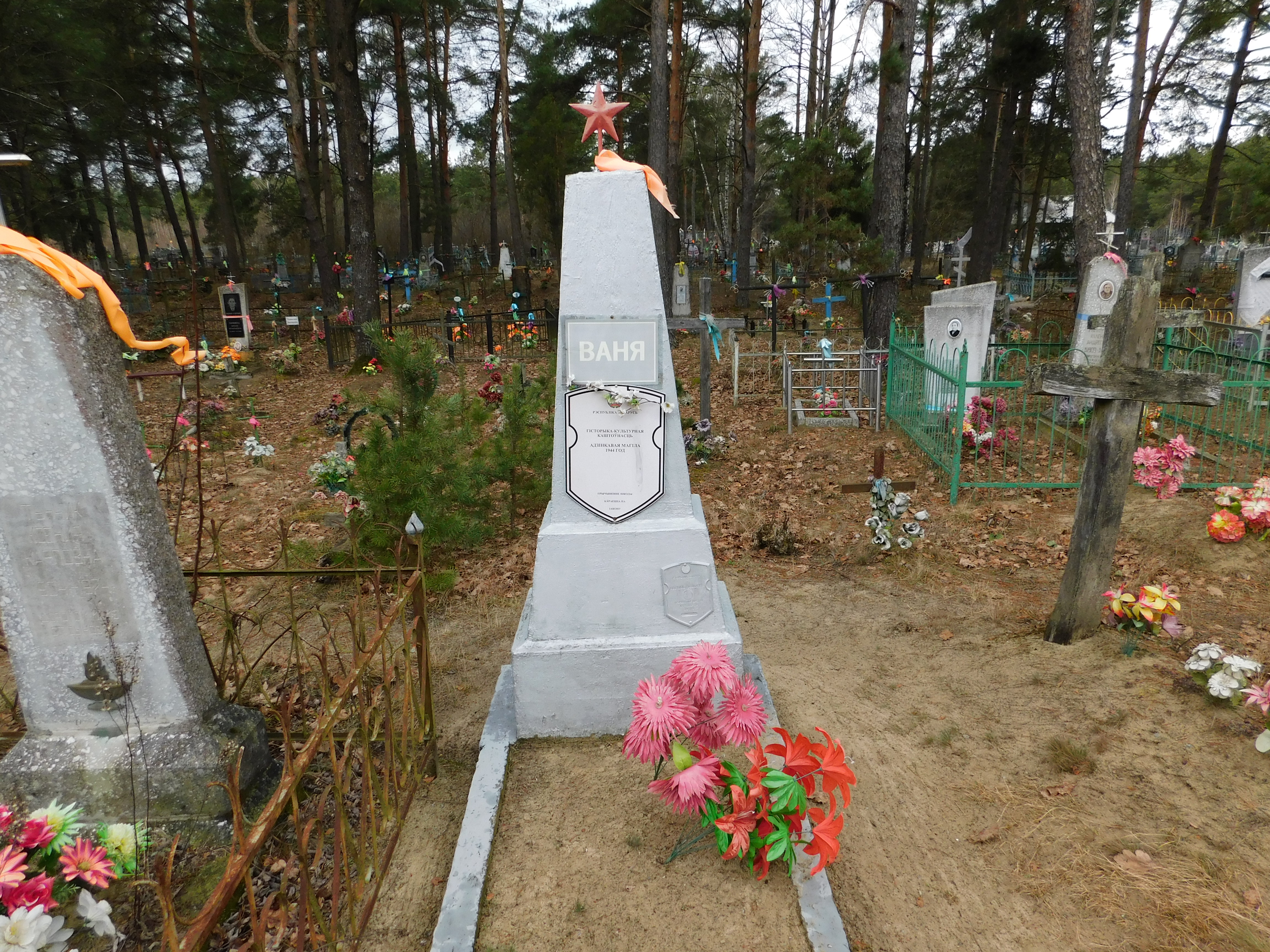 Индивидуальная могила, расположенная в д. Воловель, Дрогичинский район, Брестская область