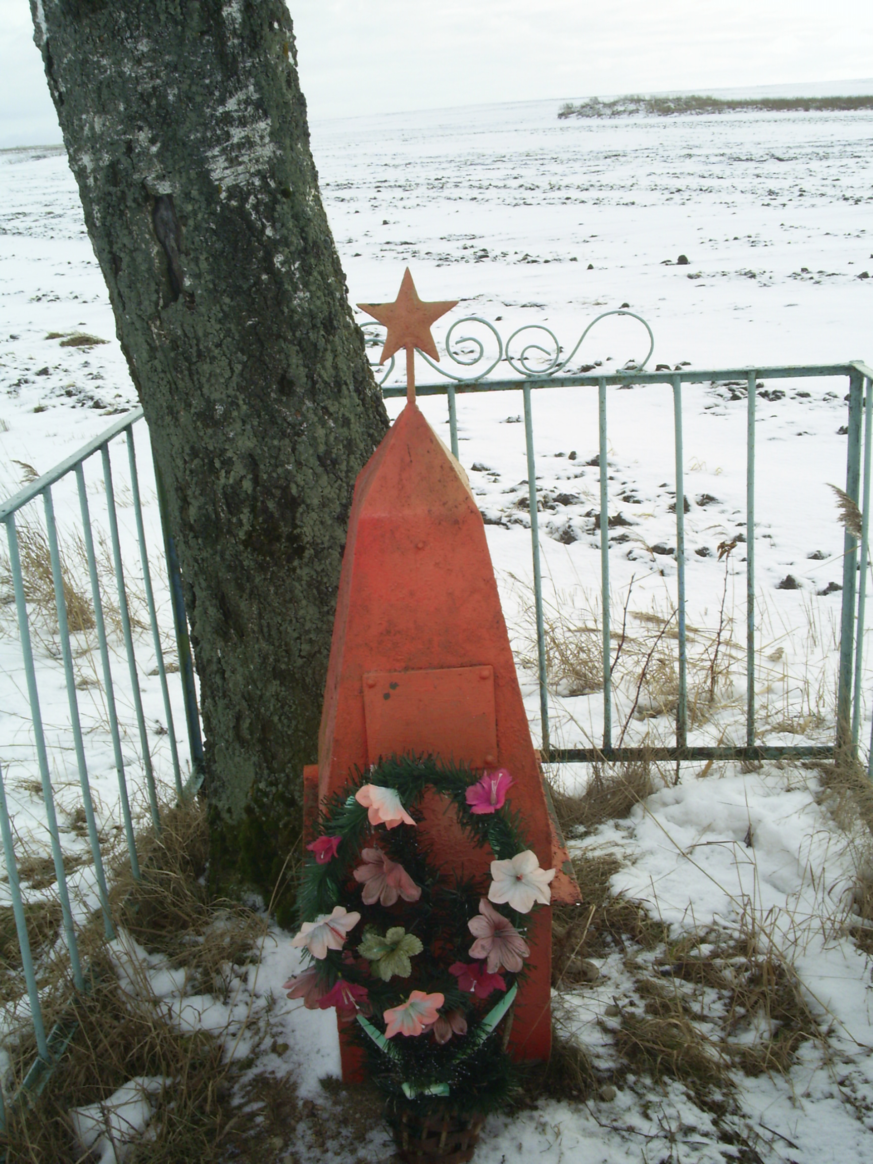 Индивидуальная могила Воинское захоронение №2300, расположенная в д. Комары, Витебский район, Витебская область