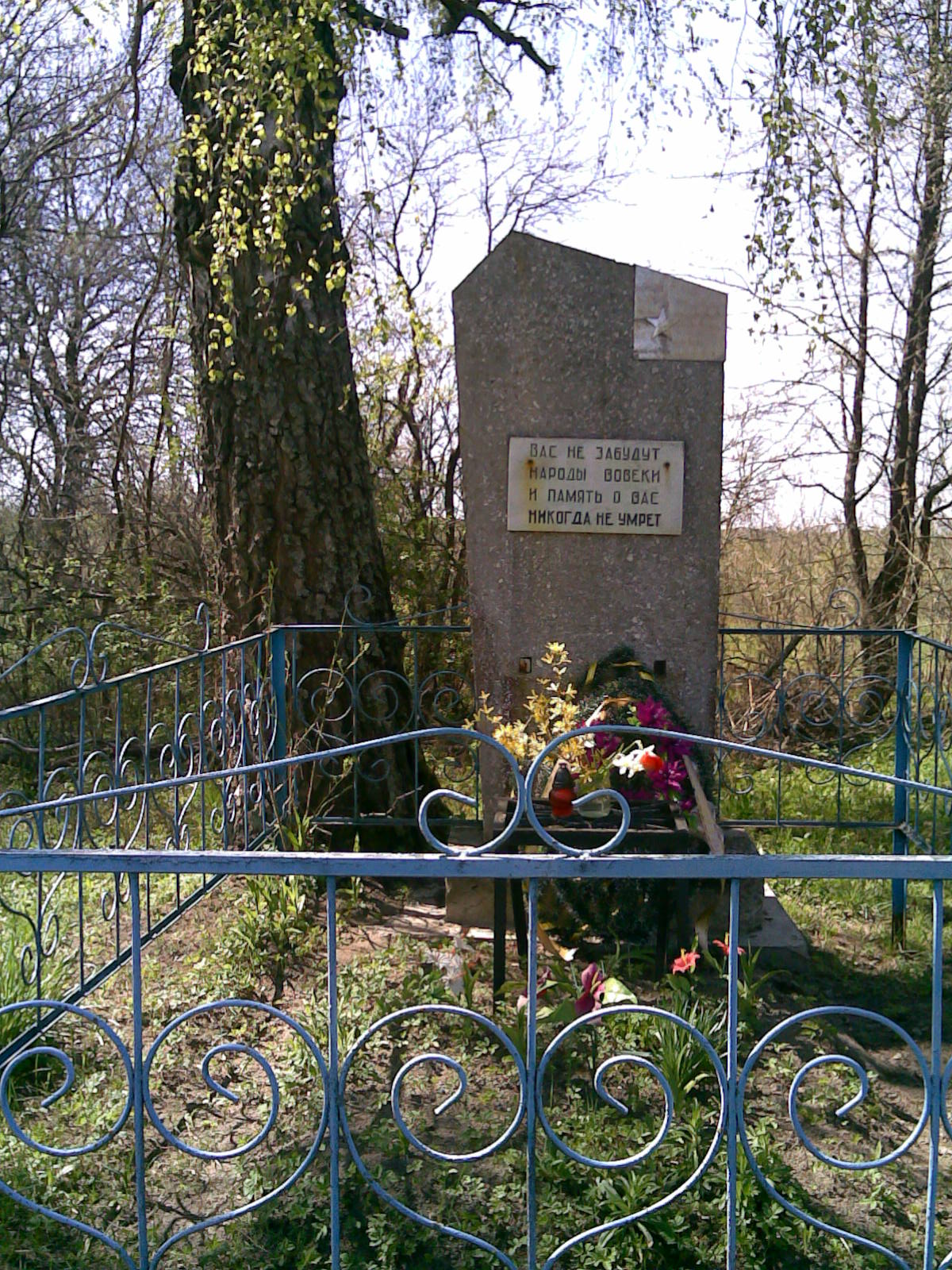 Братская могила № 5698, расположенная в Боярово, Полоцкий район, Витебская область
