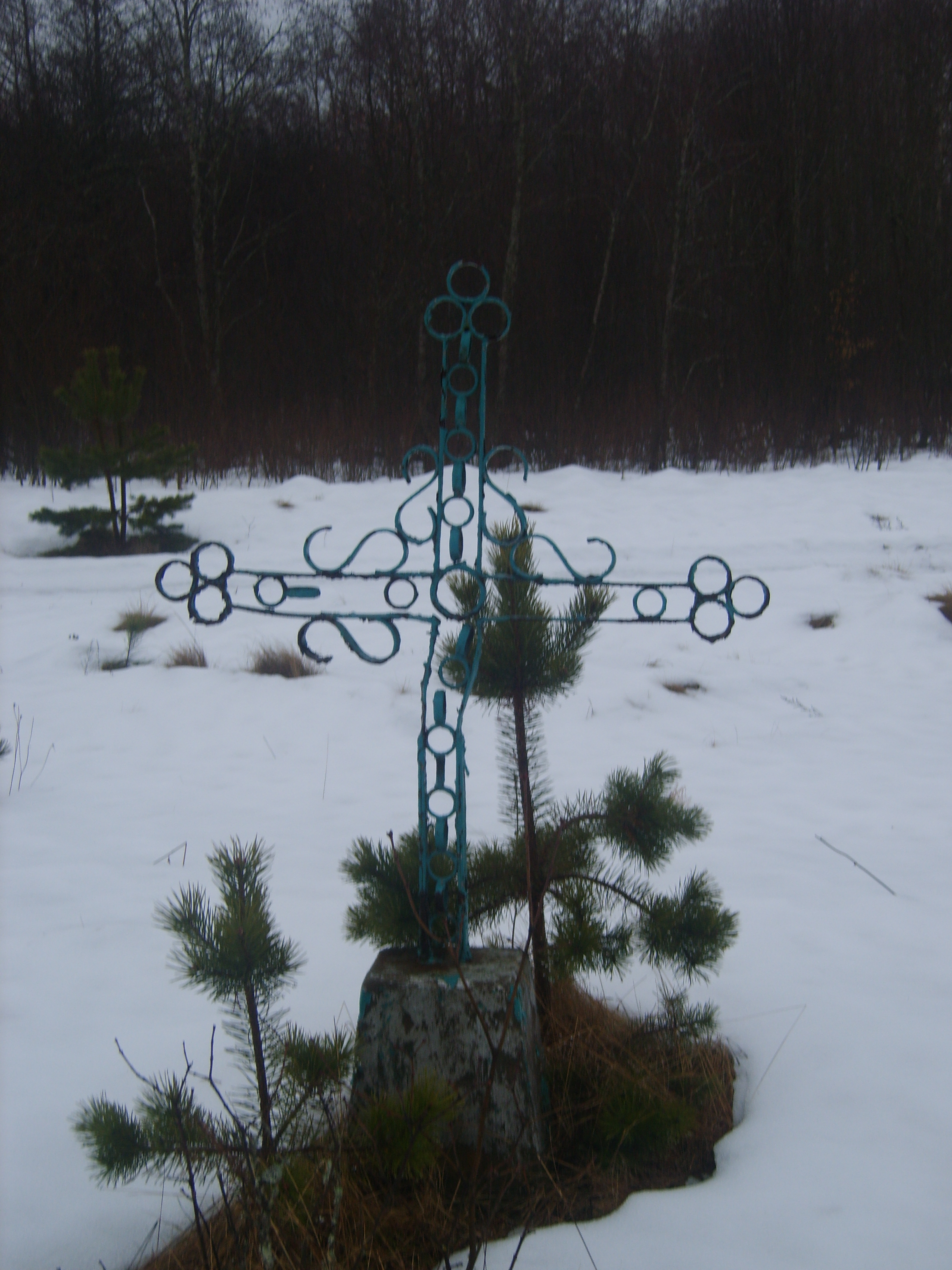 Индивидуальная могила, расположенная в Сарнополье, Полоцкий район, Витебская область