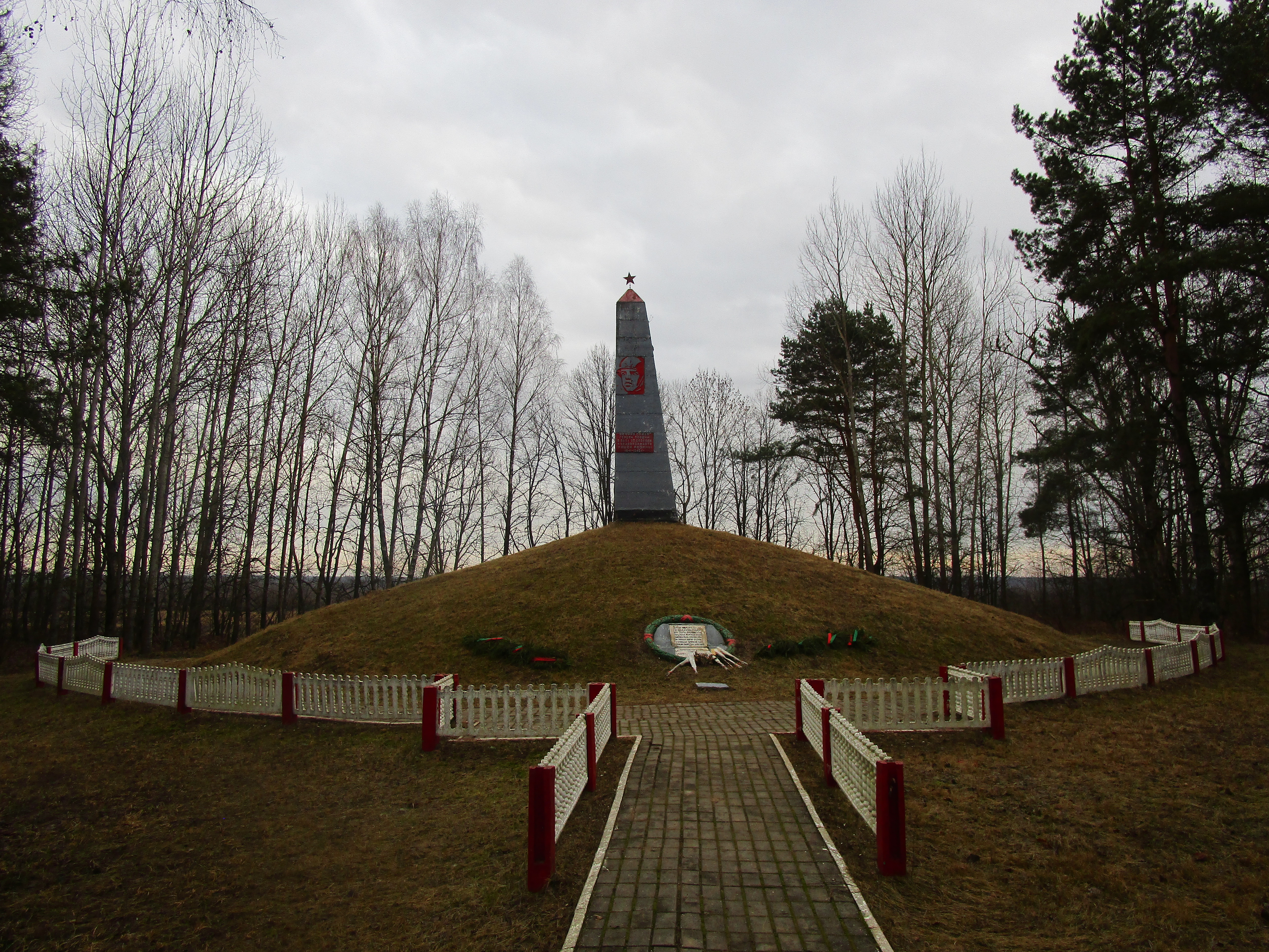 Курган, расположенная в д. Хлевно, Кормянский район, Гомельская область
