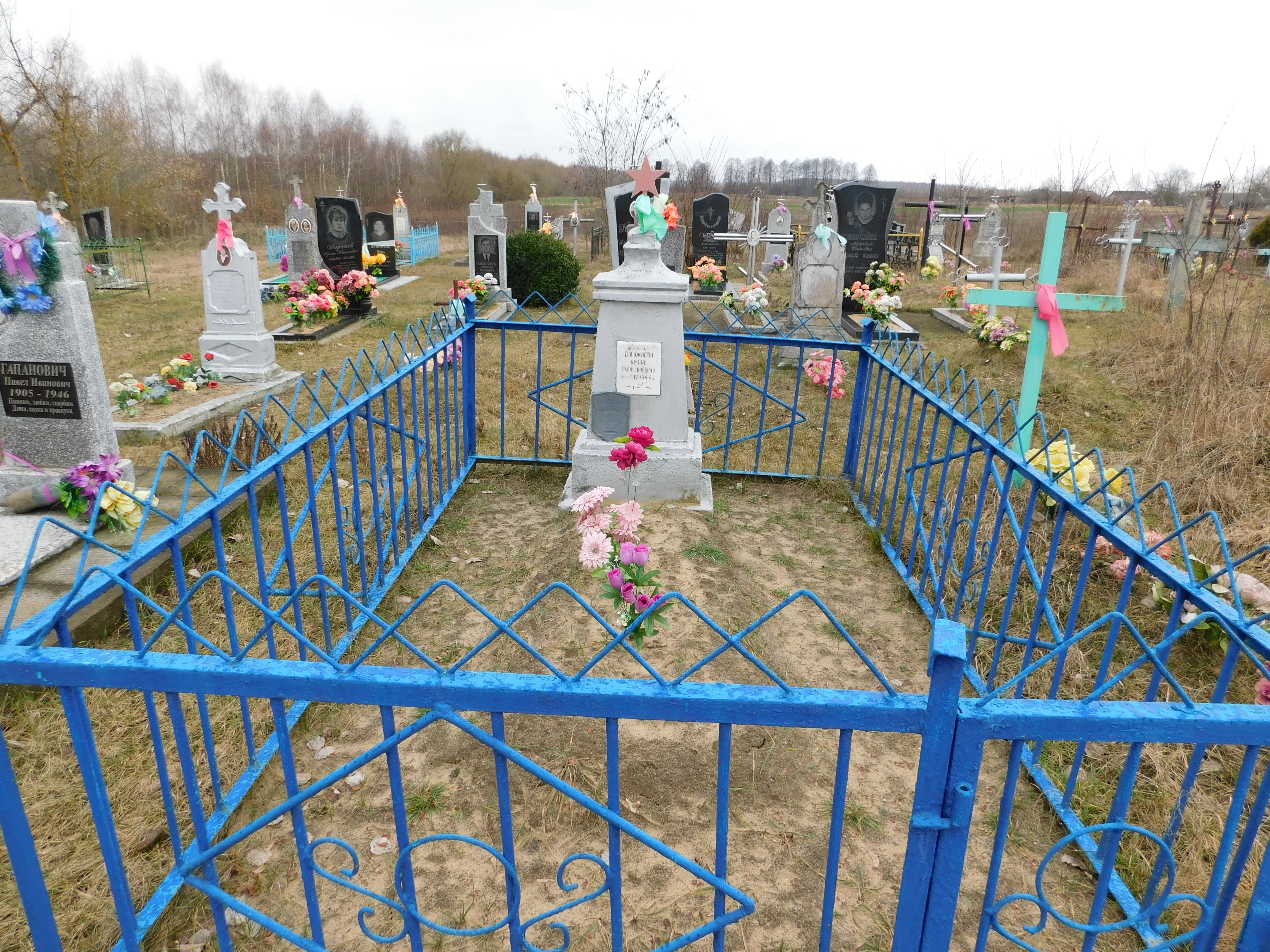 Индивидуальная могила, расположенная в д. Пигановичи, Дрогичинский район, Брестская область